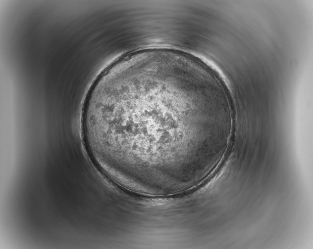 X0000096951333200802221314