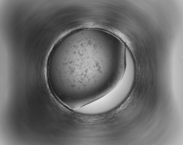 X0000096951334200802221314