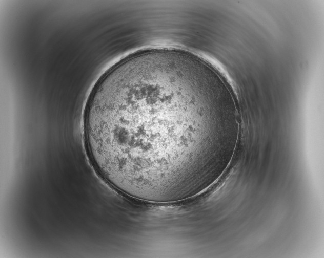 X0000096951335200802221314