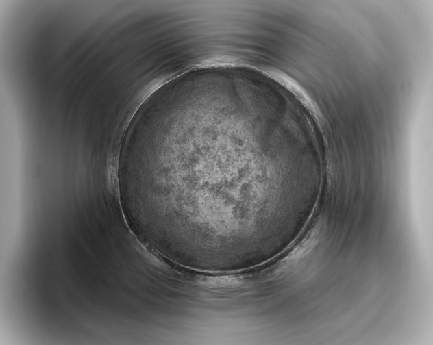 X0000096951337200802221314