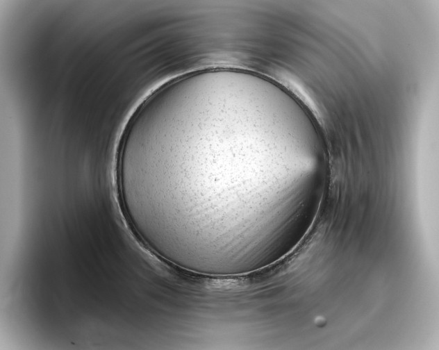 X0000096951339200802221314