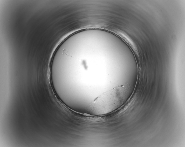 X0000096951340200802221314