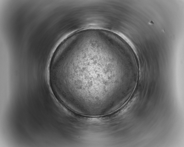 X0000096951341200802221314