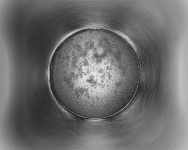 X0000096951343200802221314