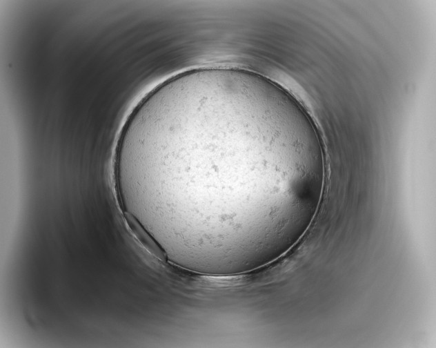 X0000096951344200802221314
