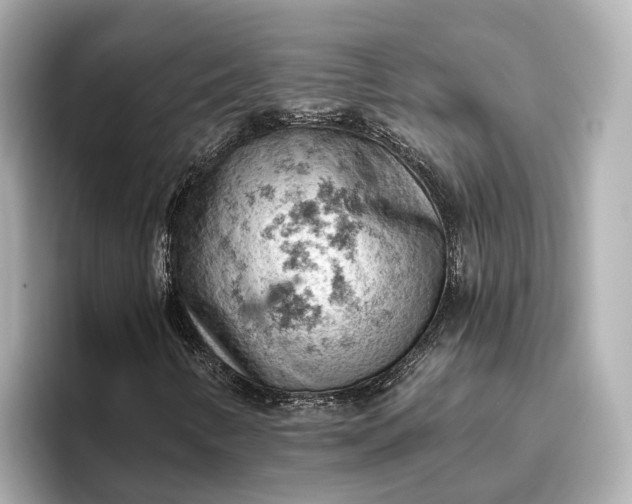 X0000096951346200802221314