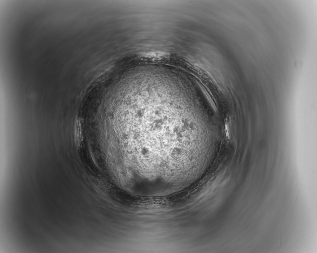 X0000096951347200802221314