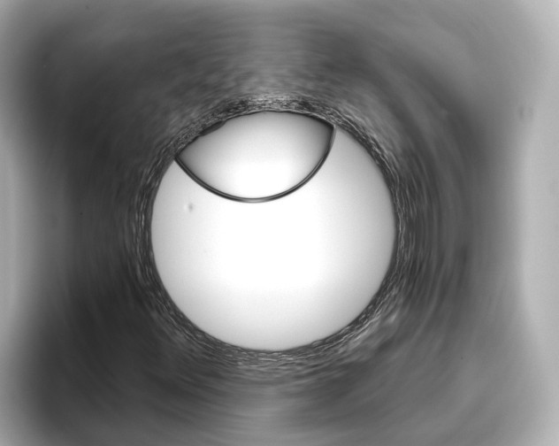 X0000096951348200802221314