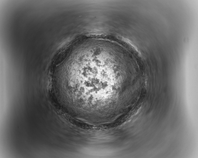 X0000096951350200802221314