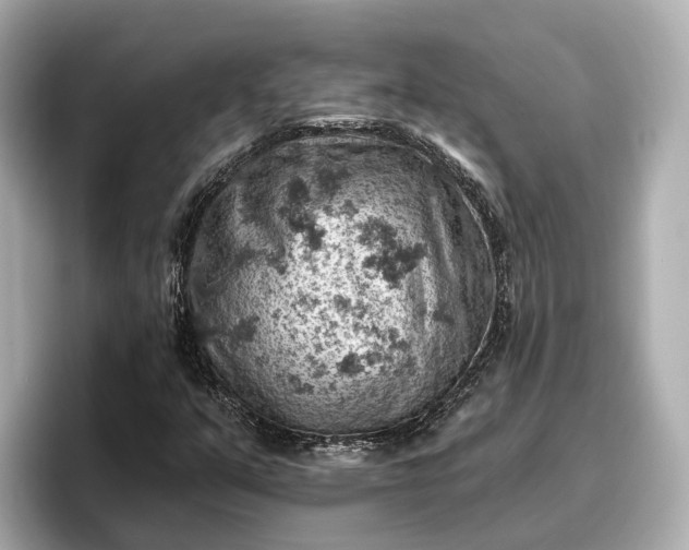 X0000096951351200802221314