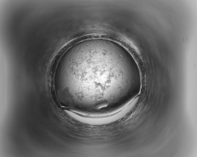 X0000096951352200802221314