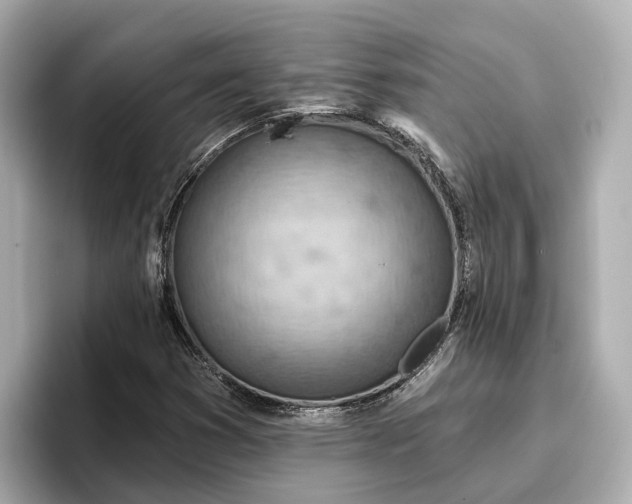 X0000096951353200802221314