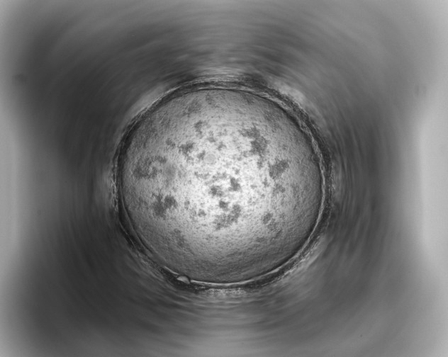 X0000096951354200802221314