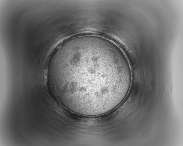 X0000096951355200802221314