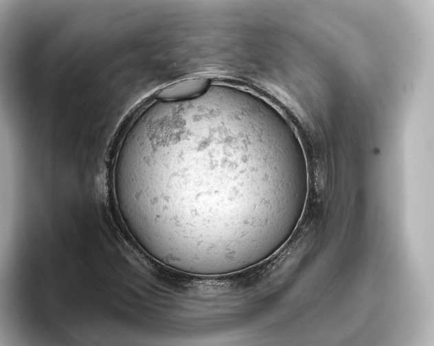 X0000096951356200802221314