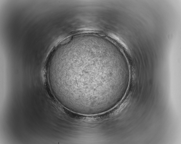 X0000096951357200802221314