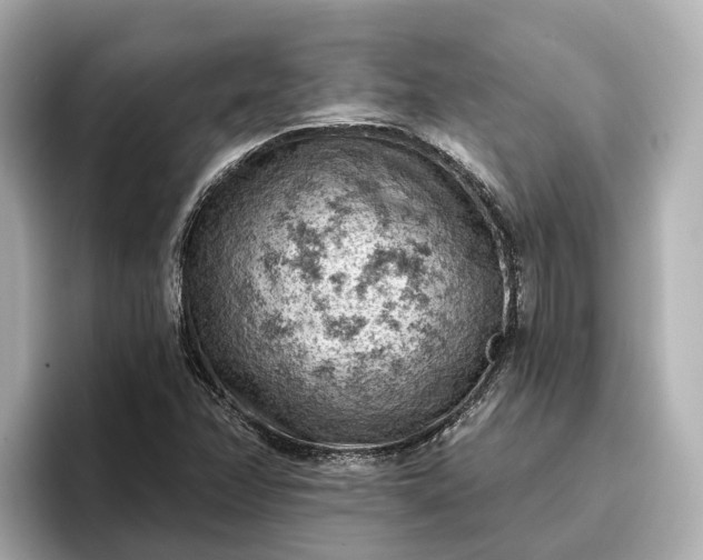 X0000096951358200802221314