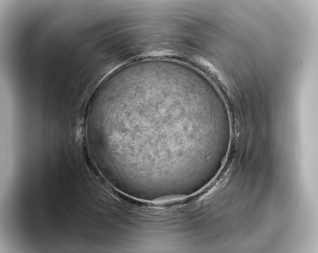 X0000096951361200802221314