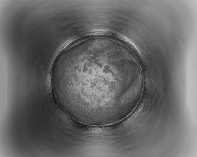 X0000096951362200802221314
