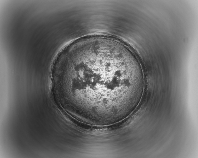 X0000096951363200802221314