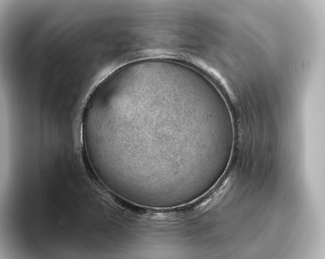 X0000096951365200802221314