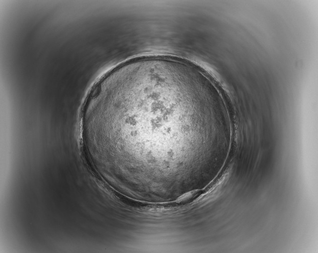 X0000096951366200802221314