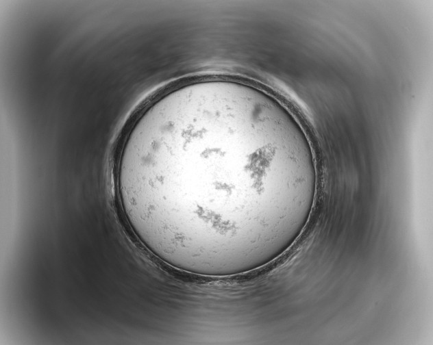 X0000096951368200802221313