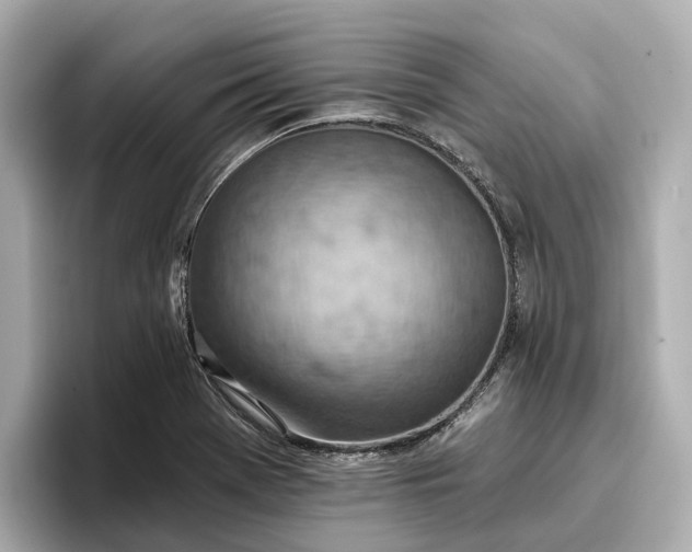 X0000096951369200802221313