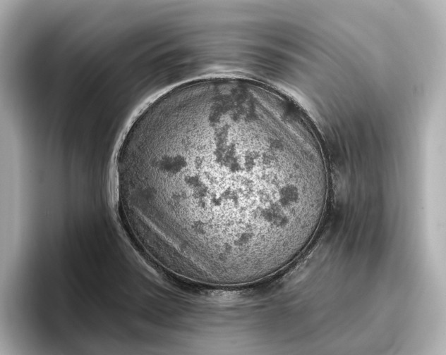 X0000096951371200802221313