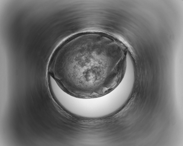 X0000096951372200802221313