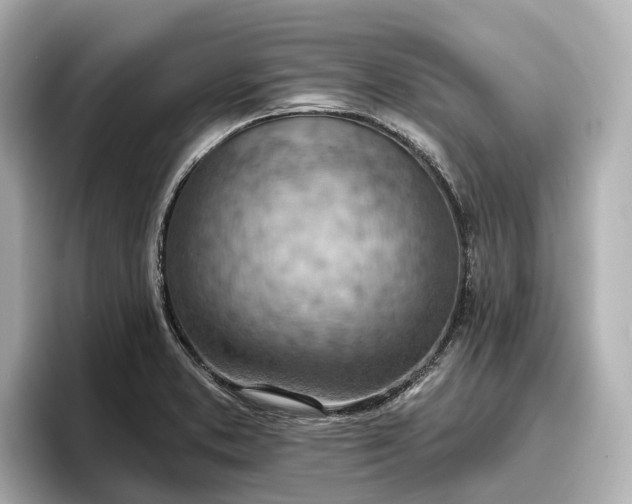 X0000096951373200802221313