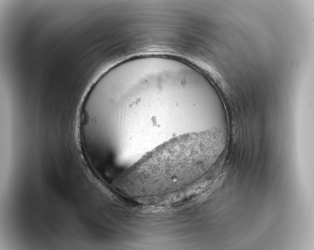 X0000096951374200802221313