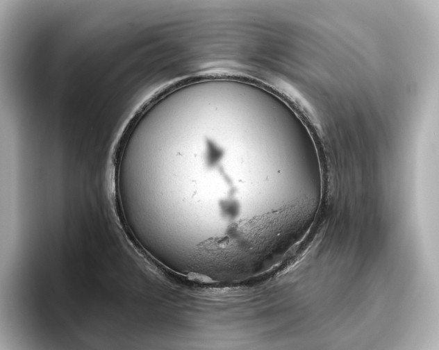 X0000096951376200802221313