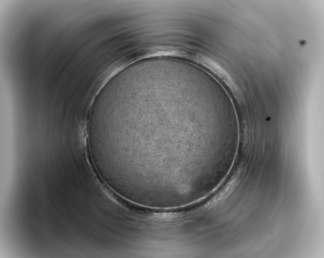 X0000096951377200802221313