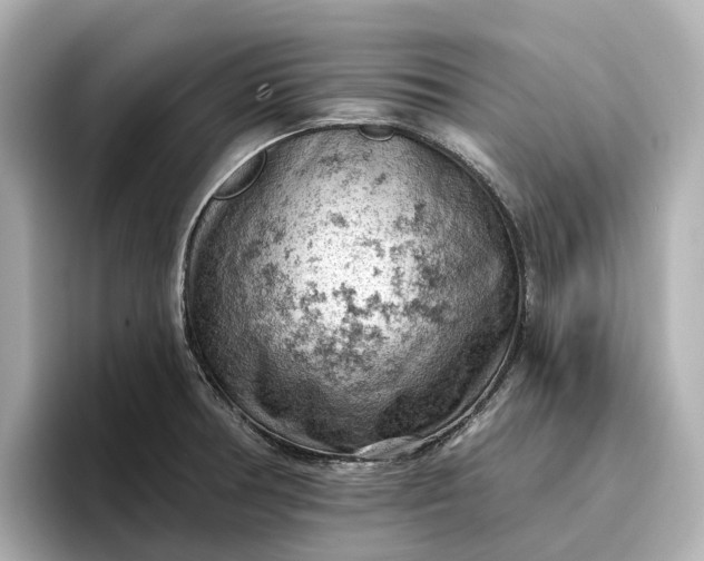 X0000096951378200802221313