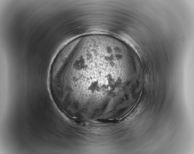 X0000096951379200802221313