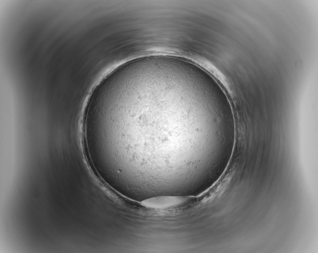 X0000096951381200802221313