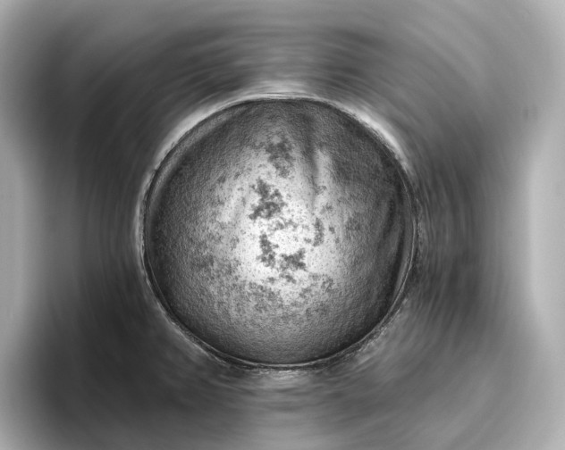 X0000096951382200802221313