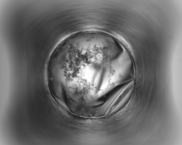 X0000096951384200802221313