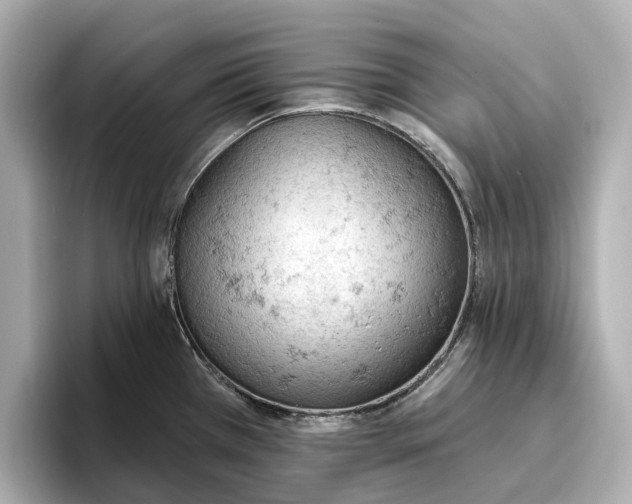 X0000096951385200802221313