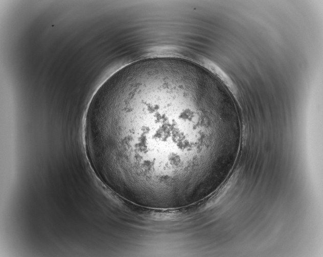 X0000096951386200802221313