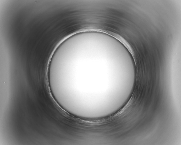 X0000096951388200802221313
