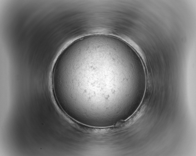 X0000096951389200802221313