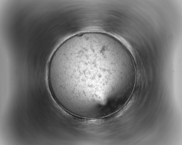 X0000096951390200802221313