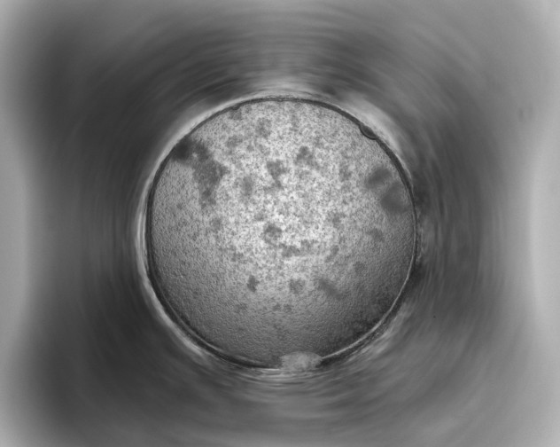 X0000096951391200802221313
