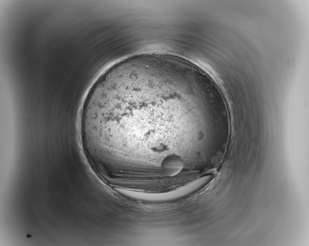 X0000096951392200802221313
