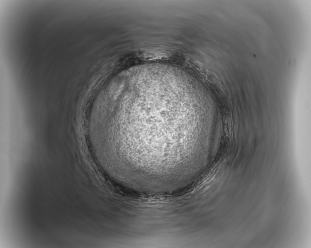 X0000096951393200802221313