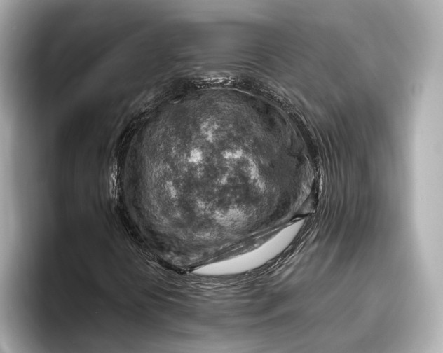 X0000096951394200802221313