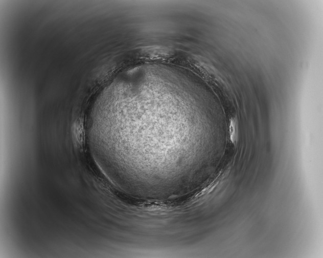 X0000096951395200802221313