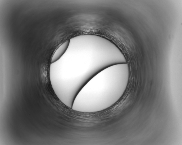 X0000096951396200802221313